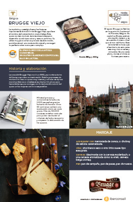 Brugge Viejo
